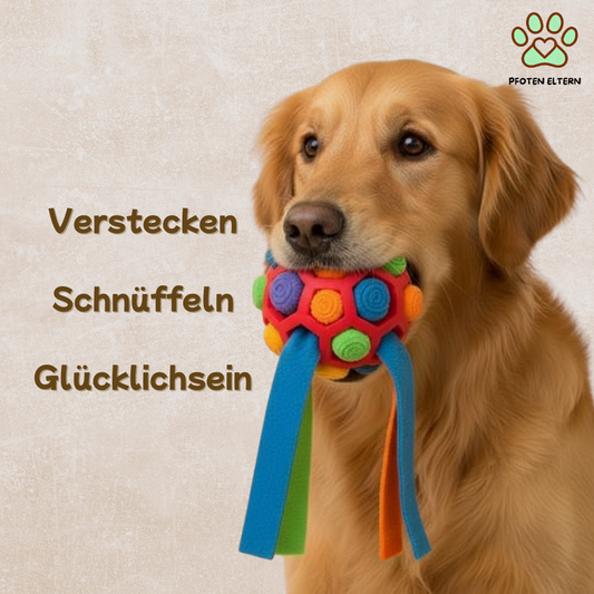 SchnüffelFreund - interaktives Futterspielzeug